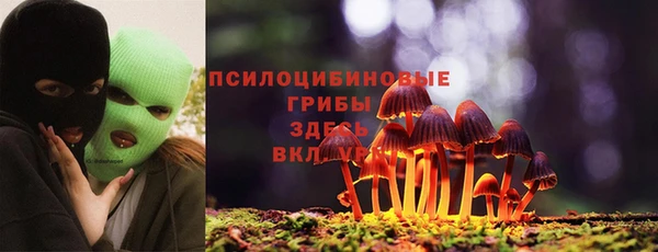 spice Надым