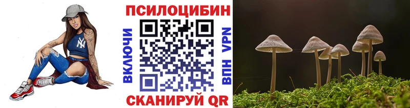 купить наркотик  Сычёвка  hydra ссылки  Галлюциногенные грибы Psilocybe 